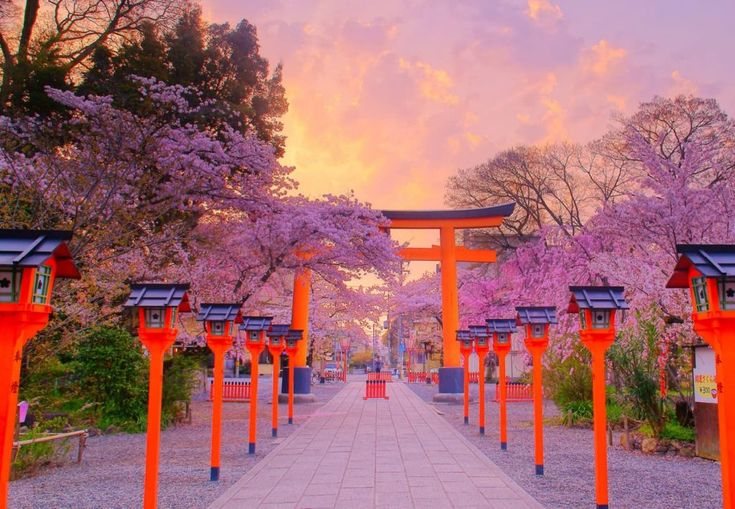 Kyoto, Japan